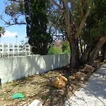 Appartamento 3 Castelos Jardim